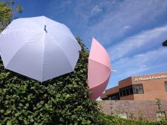 umbrellas pink and blue