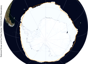antarctic ice