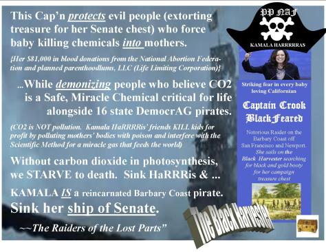 kamala-as-capn-baby-and-carbon-d-killer