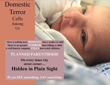 planned-parenthood-domestic-terror-cells