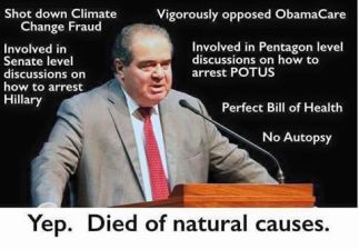 scalia-natural-causes