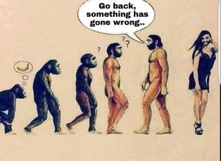 evolution-and-transgender