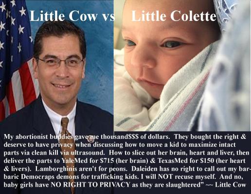 little cow little colette planned parenthood daleiden david