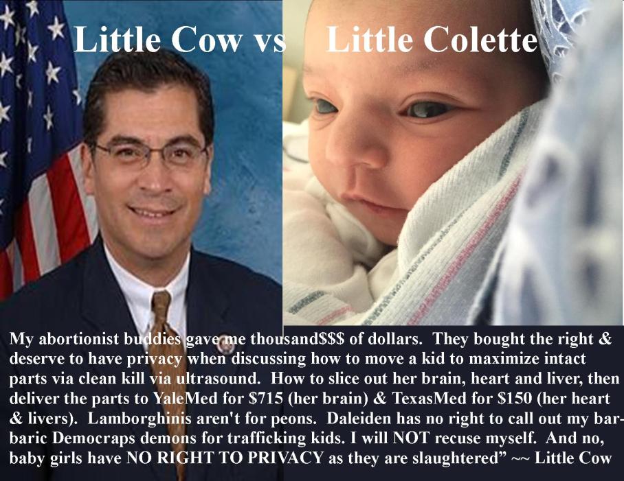 little cow little colette planned parenthood daleiden david