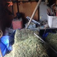 urb ag hay barley pitchfork