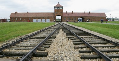 auschwitz berkinau tracks