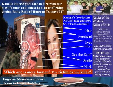 baby rose and kamala go face to face