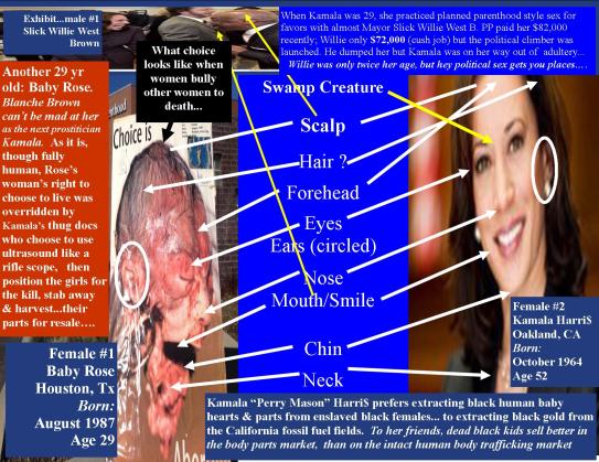 kamala harris willie brown baby rose II