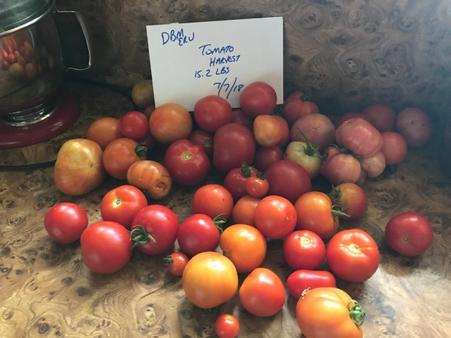 dbmeru tomatoes july 7 18 15 pounds.jpg