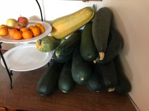 dbmeru zuchs are cloning july 2018