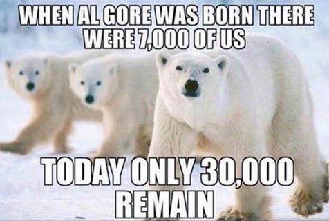 polar bears 30000