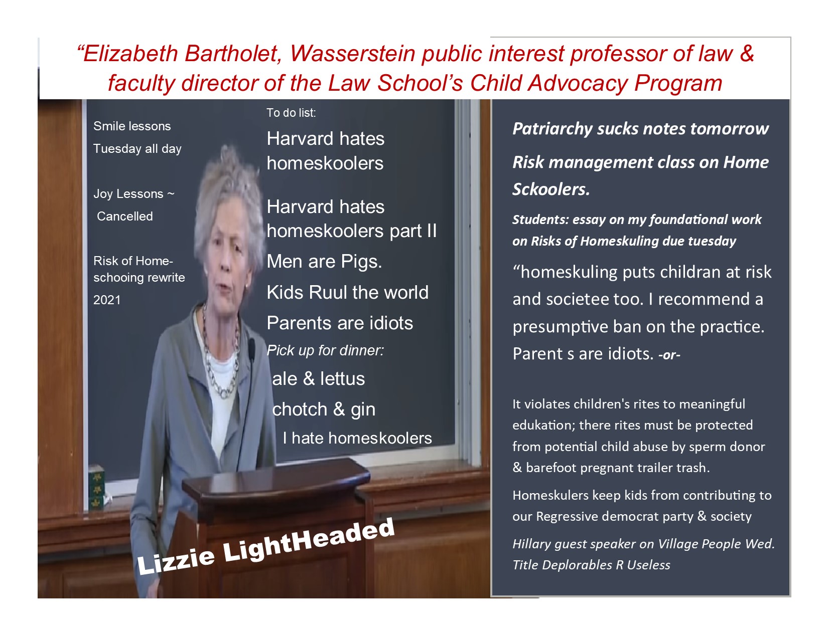 lizzie the lightheaded modified covid homeschooling